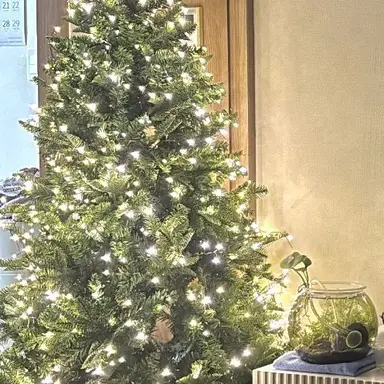 Profile image of 킴동현