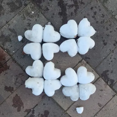 Profile image of 셩호