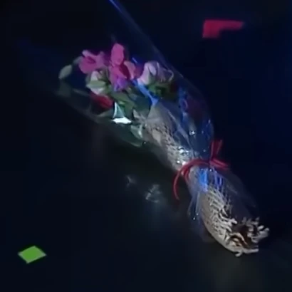 김운학