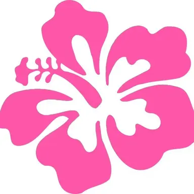 Profile image of 中村敬斗