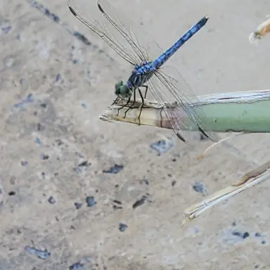 Profile image of Aaron