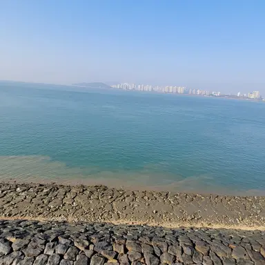 Profile image of 잠뜰