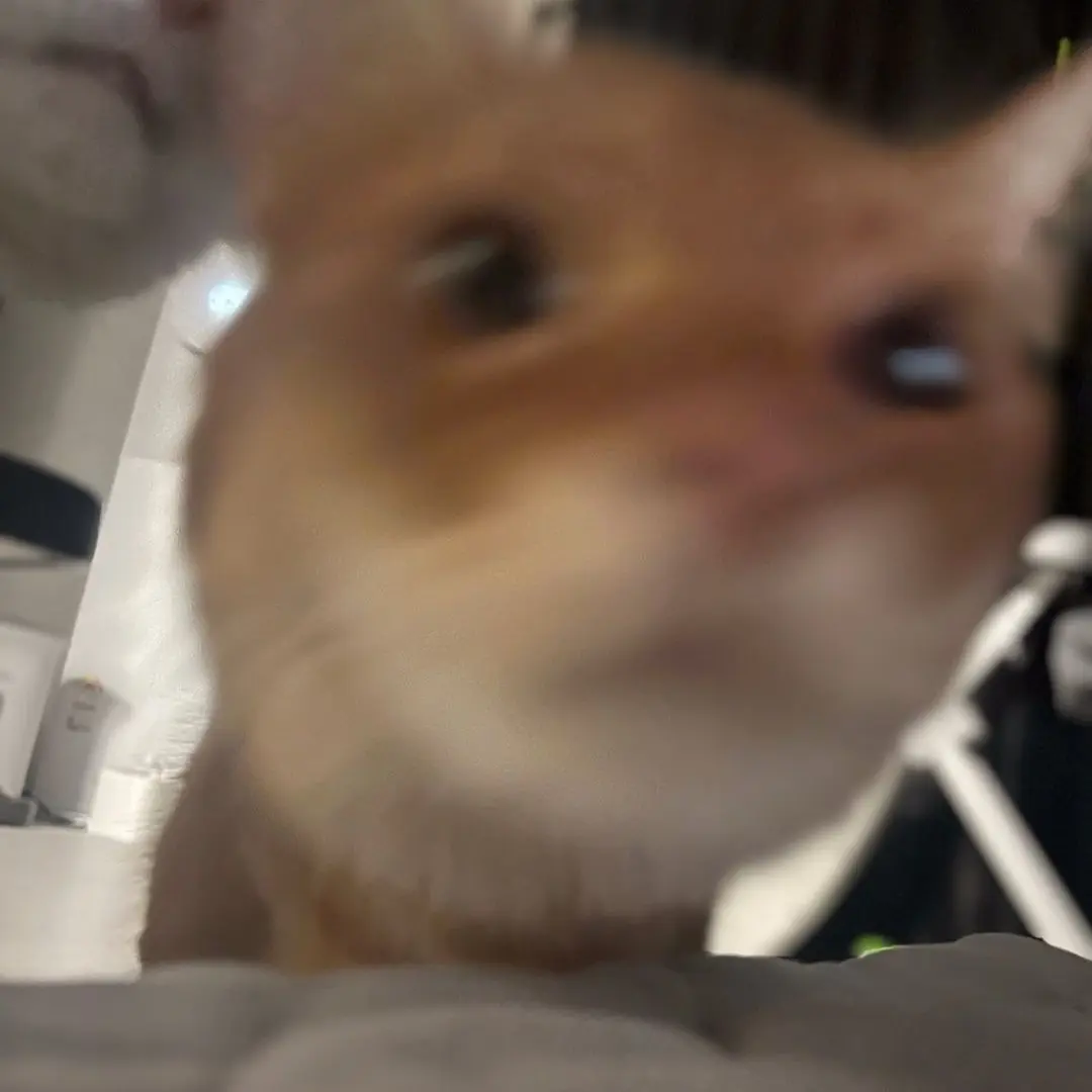 YR_7624의 설문조사거나 소통이거나