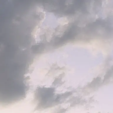 Profile image of 親