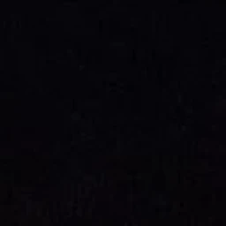 전정국