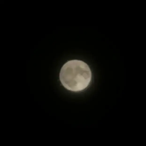 MurkyLoris7946의 아이자와