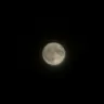Profile image of 아이자와 쇼타