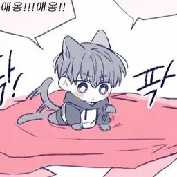 morral의 이시연