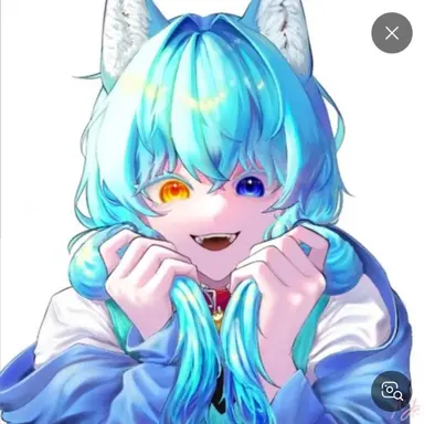 Profile image of 료미