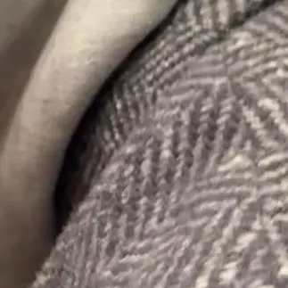 Lonelyby의 대학생활ing