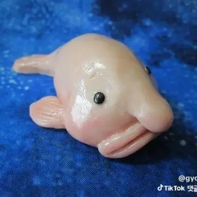 Profile image of 뻐끔이 2세