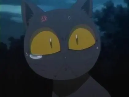 Profile image of 四楓院夜一