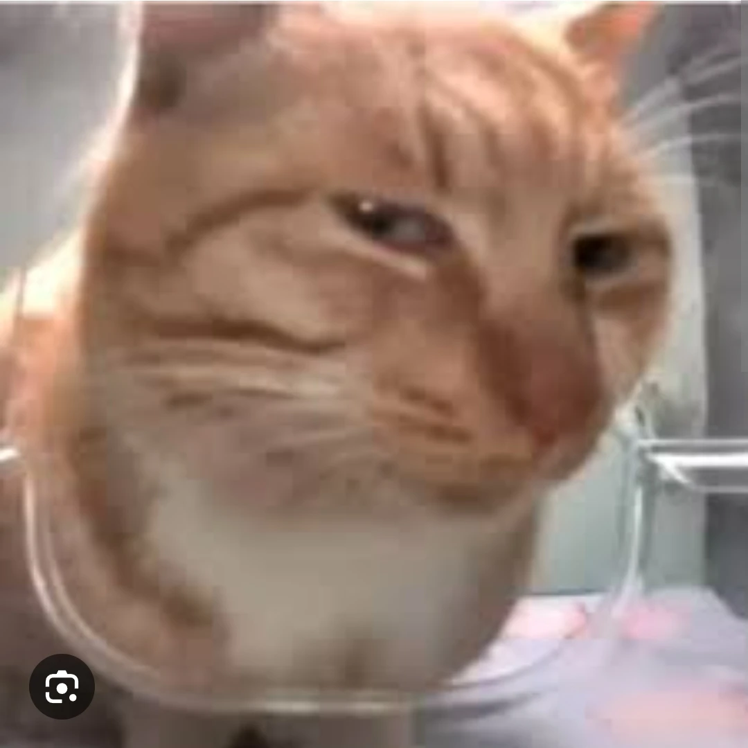 문율