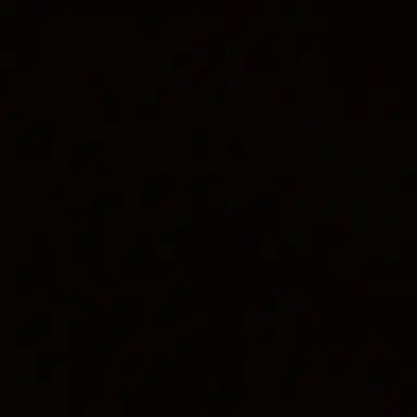 Profile image of 先生