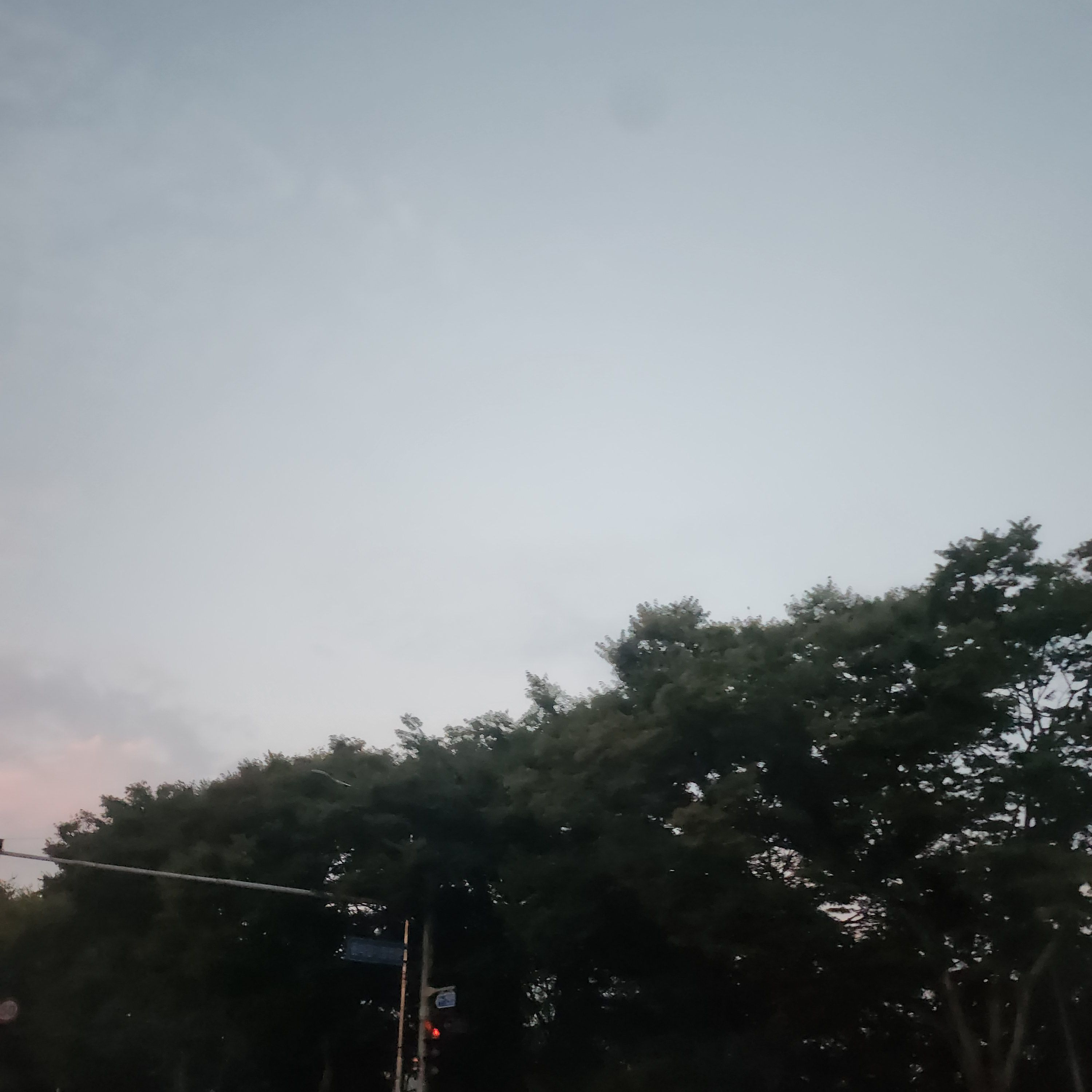 여보야..미아내.. 대표 이미지
