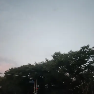 Profile image of 강대성