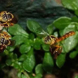 Profile image of 병정벌