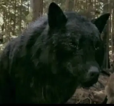 Profile image of Sam