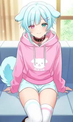 Profile image of りけん