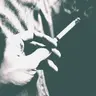 Profile image of 엽제현
