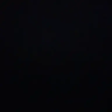 Profile image of 루아나