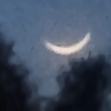 Profile image of 여우