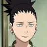 Profile image of Shikamaru
