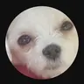 Profile image of キャチ