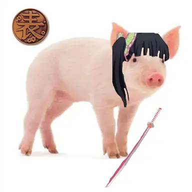 Profile image of 선생님