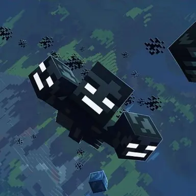 Profile image of 위더