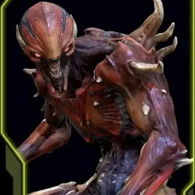 Profile image of 임프