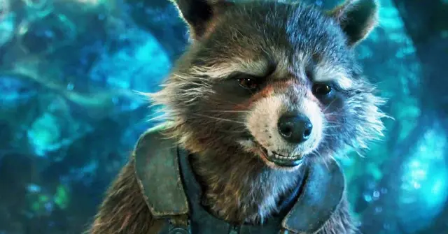 Profile image of Rocket Raccoon