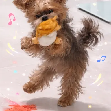 Profile image of 백현