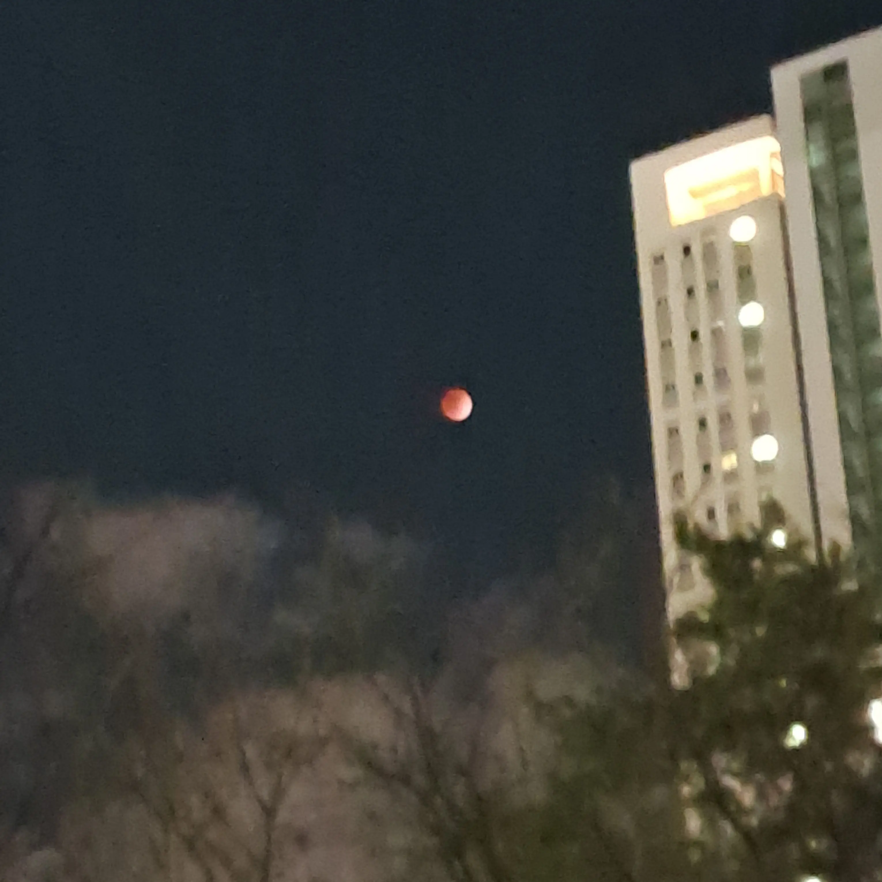 onedoor_gaeun의 내가 연예인 이라면?