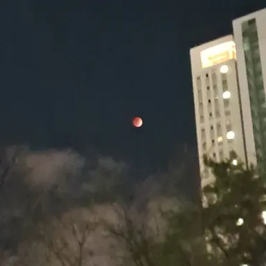 Profile image of 김 동 현