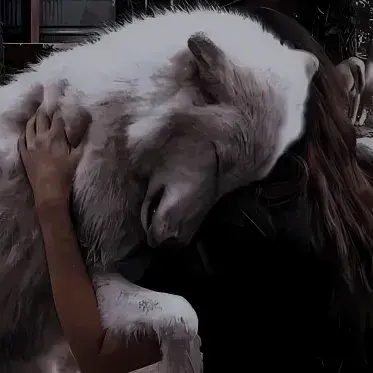 Profile image of Lorcan Vael