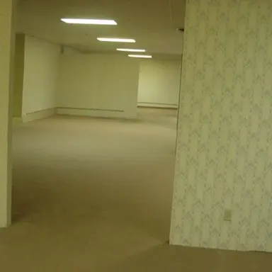 Profile image of Backrooms