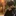 박서후