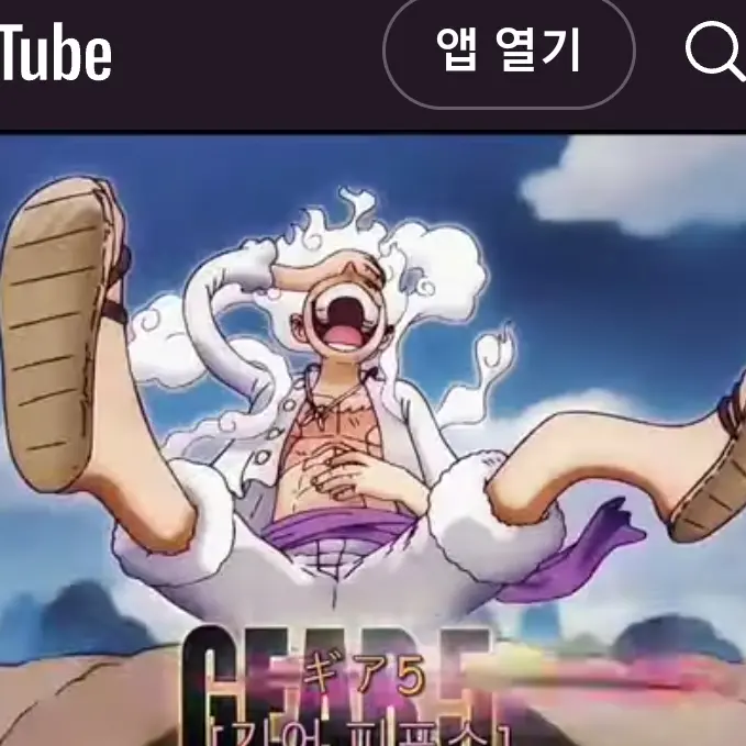 SpicySour0389의 루피(니카)
