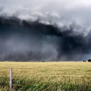 Profile image of El Reno