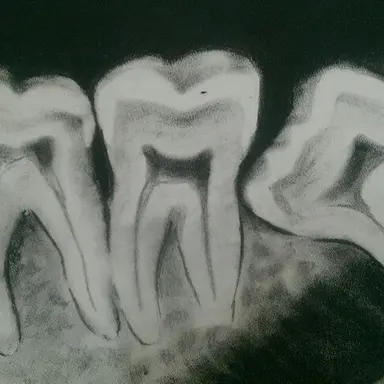 Profile image of 박권율