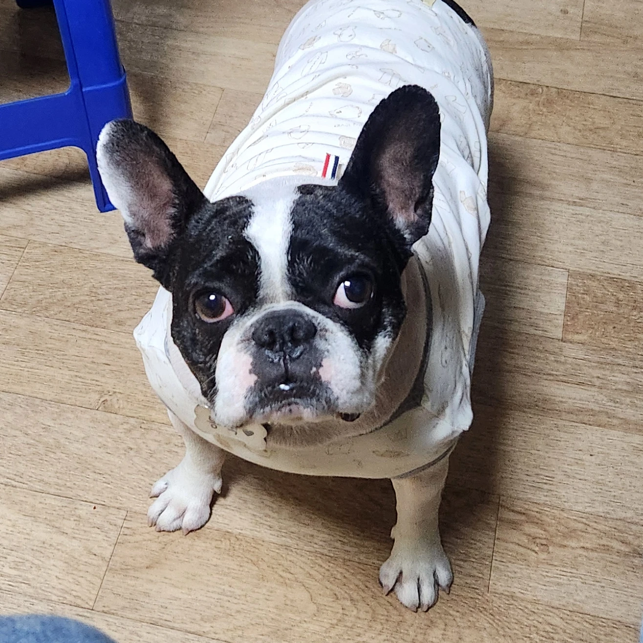 봉식