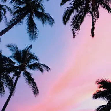 Profile image of 흥민