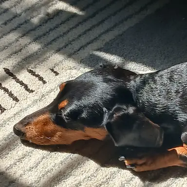 Profile image of 시민1