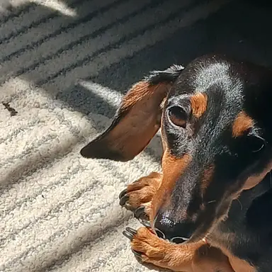 Profile image of 시민3