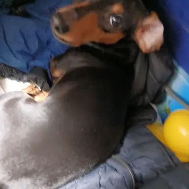 Profile image of 시민2