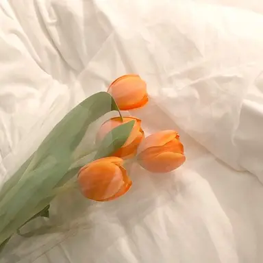 Profile image of 제미니