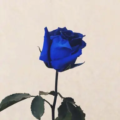 Profile image of 잭