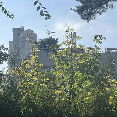 Profile image of 잠뜰