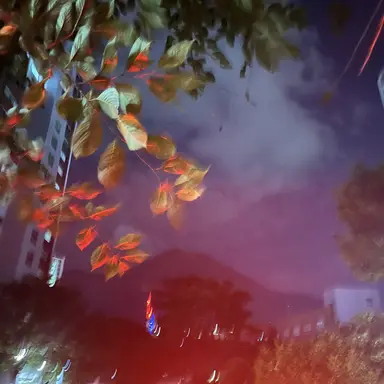 Profile image of 각별